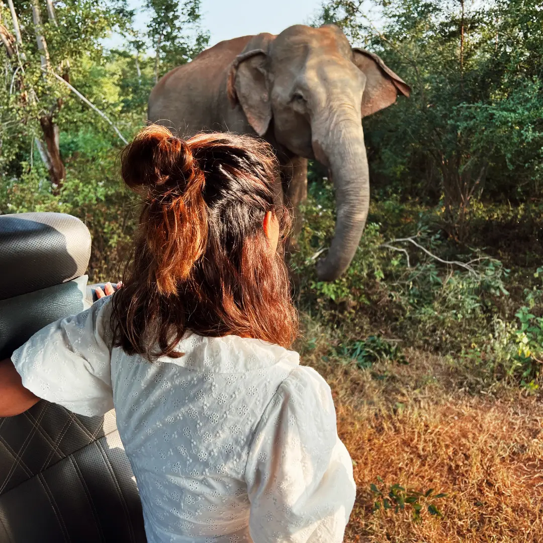 Traveler observing a wild elephant in Sri Lanka